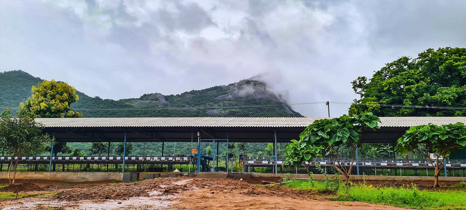 Welcome to Thenkaraisaaral Farms in Coimbatore