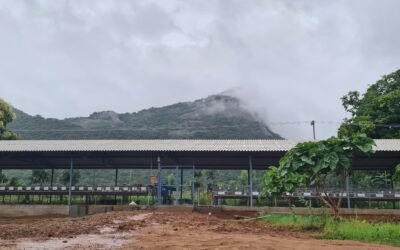 Milestone Achieved at Thenkaraisaaral Farms