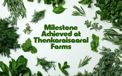 Milestone Achieved at Thenkaraisaaral Farms