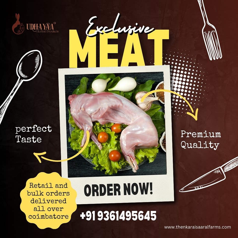 Best Rabbit Meat in Coimbatore