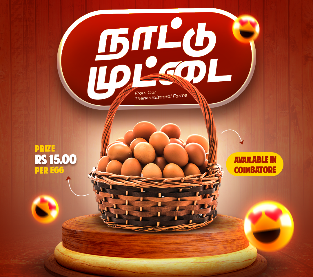 nattu kozhi muttai price in coimbatore Egg price in coimbatore, Country egg available in Thenkaraisaaral farms, coimbatore