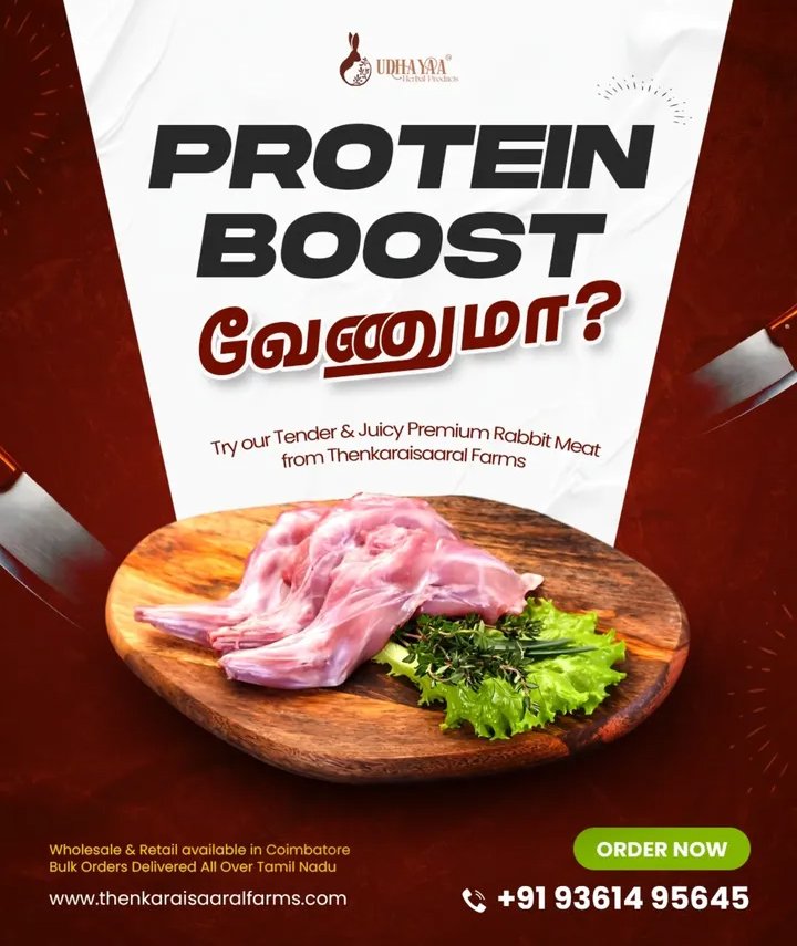 Top Rabbit Meat wholesale in Coimbatore, Thenkaraisaaral Farms Fresh Rabbit Meat Top Rabbit Meat wholesale in Coimbatore, Thenkaraisaaral Farms Fresh Rabbit Meat