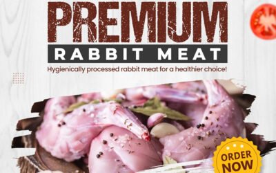 Fresh & Healthy Rabbit Meat – Retail & Wholesale in Tamil Nadu