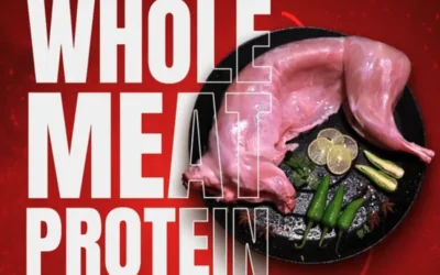 Rabbit Meat Wholesale Supplier in Tamil Nadu – Thenkaraisaaral Farms